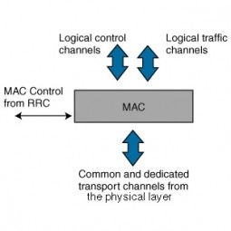 Media access control что это