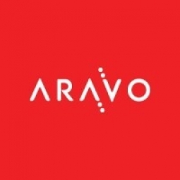 Aravo Solutions Logo